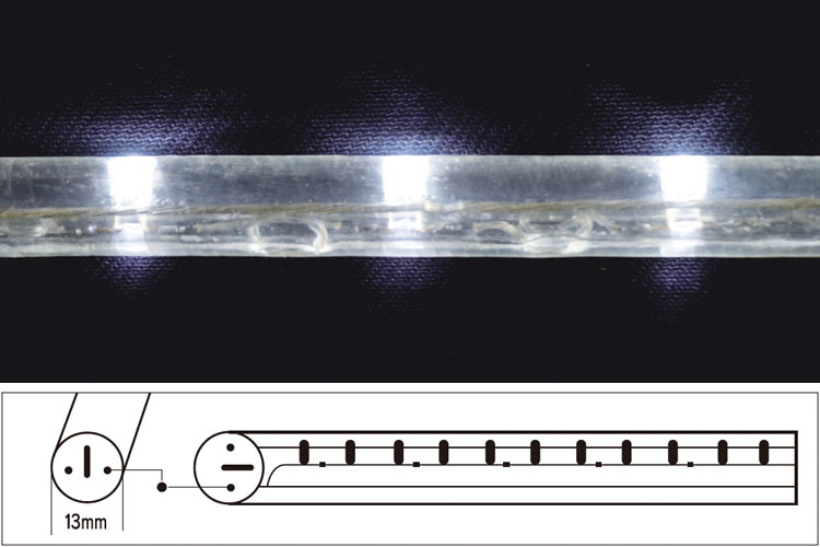 ロープライト2芯 垂直-外形寸法図