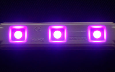 MD-NL3-GR-FC 紫